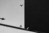 Contrast in fotografie: dit gaat vaak mis