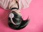 Het luisteren van inspirerende podcasts!