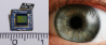 Wat is de resolutie van je oog?