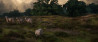 Saskia Boelsums exposeert bijzondere landschapsfotografie