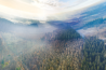 Nederlandse natuur in 360° te zien in Den Haag