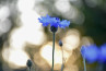 Spotlight van de week #24 | DIGIFOTO Pro Gallery