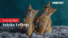 Spotlight van de week #20 | DIGIFOTO Pro Gallery