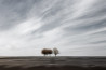 In de spotlight: ‘Fifth Wheel on this Bicycle with Training Wheels’ van Gilbert Claes
