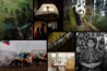 World Press Photo 2026: beelden die raken