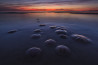 Publiek kiest mooiste natuurfoto WNF-Photo Award