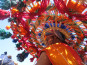 In de spotlight: ‘Feest in Marokko’ van Wilma van Kempen