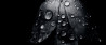 Spotlight - Weekwinnaar #45-2013