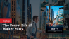 Kijktip: The Secret Life of Walter Mitty 