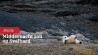 Fotograferen op Svalbard bij middernachtzon