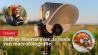 Macrofotografie: apparatuur en instellingen