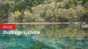 Jiuzhaigou fotografie: kleur, natuur en cultuur