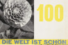 Die Welt ist schön: een fotografisch keerpunt