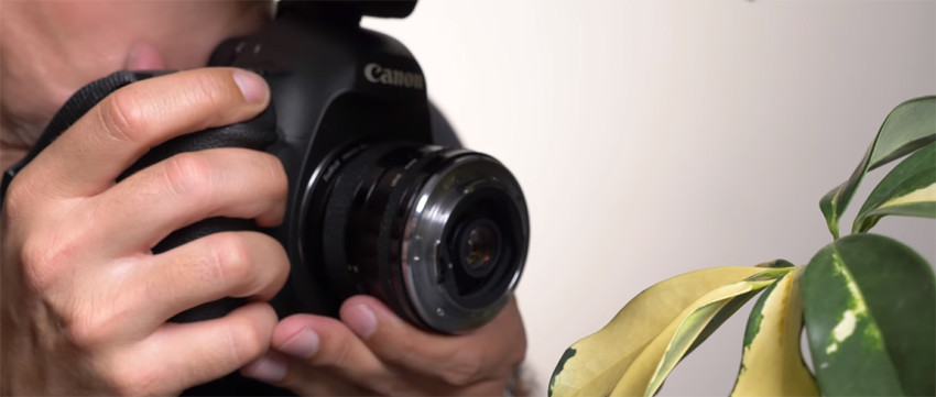 Goedkoop macro fotograferen met een omgekeerd objectief