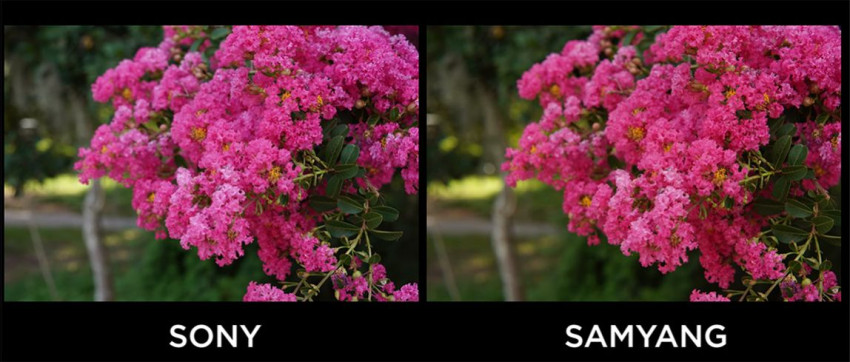 Sony FE 85mm f/1.4 GM versus Samyang 85MM F/1.4 AF Sony FE