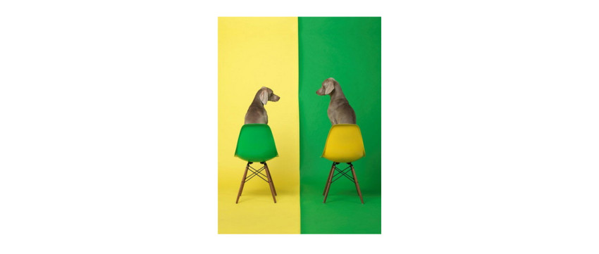 Expositie: 'Good Dogs on Nice Furniture’ & 'Cubism and Other-isms'