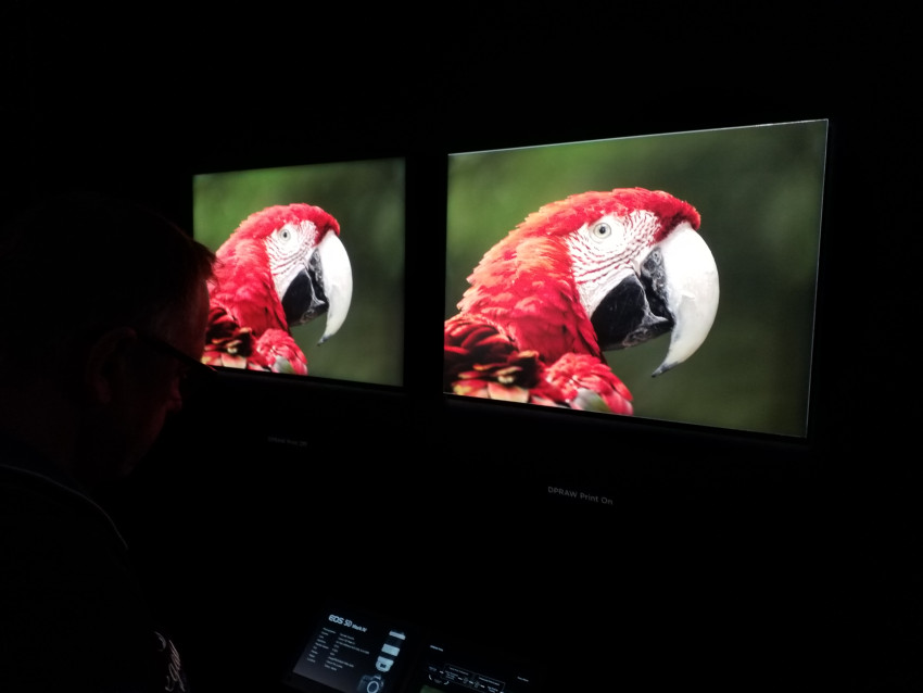 Hoogwaardige fotoprints met nieuwe Canon DPRAW tool