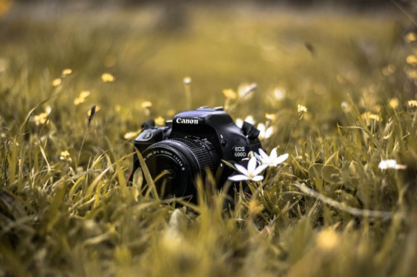 Zomerse actie: tot € 300,- cashback op Canon-apparatuur