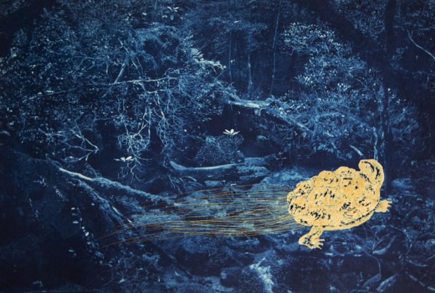 Anaïs López toont The Turtle and the Monk