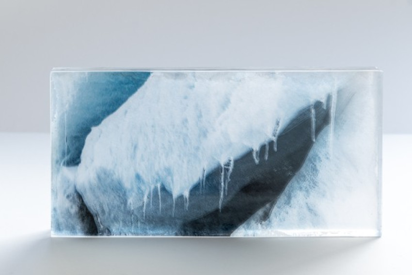 The Alternative Landscape tentoonstelling Antwerpen