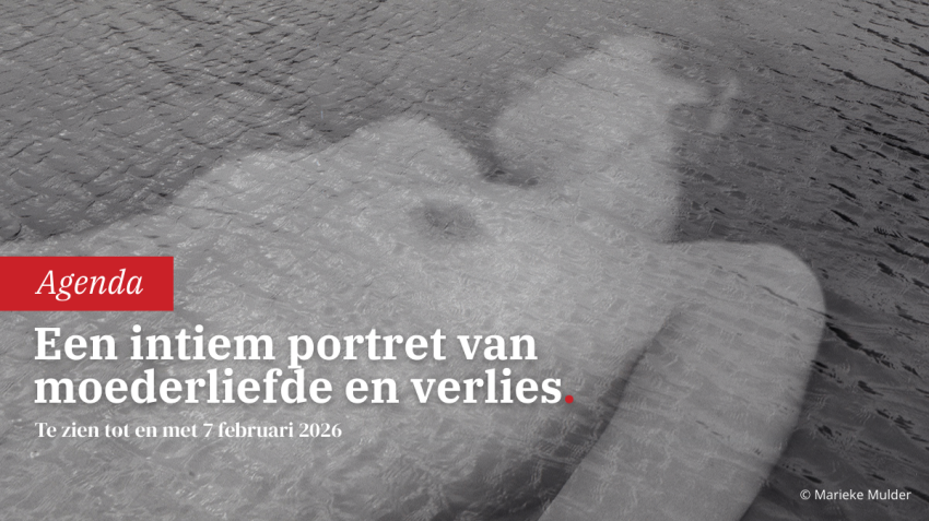 Marieke Mulder | Gates to the Garden