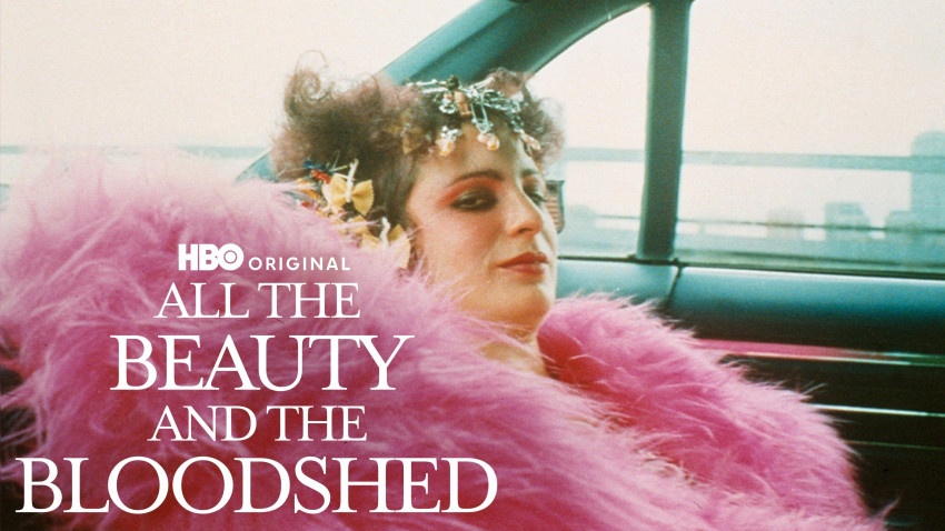Pracht van verzet: ‘All the Beauty and the Bloodshed’