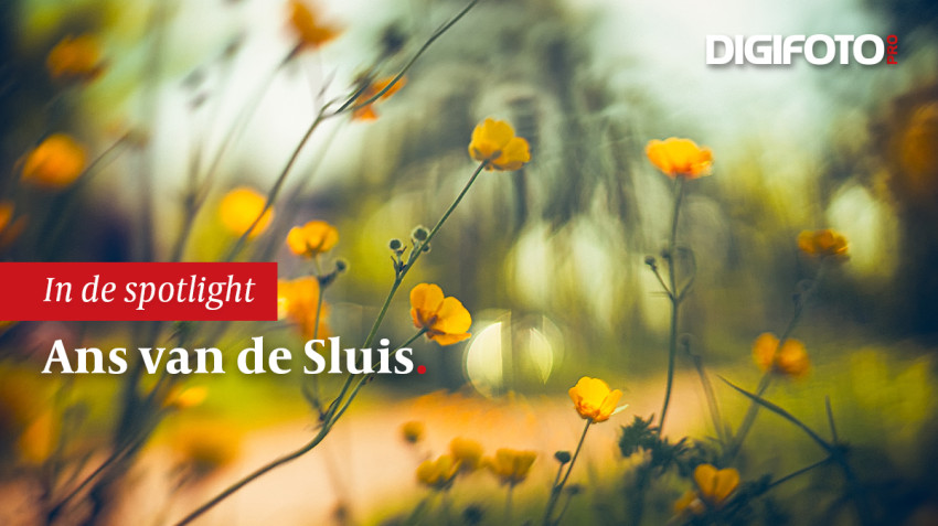 Spotlight van de week #21 | DIGIFOTO Pro Gallery