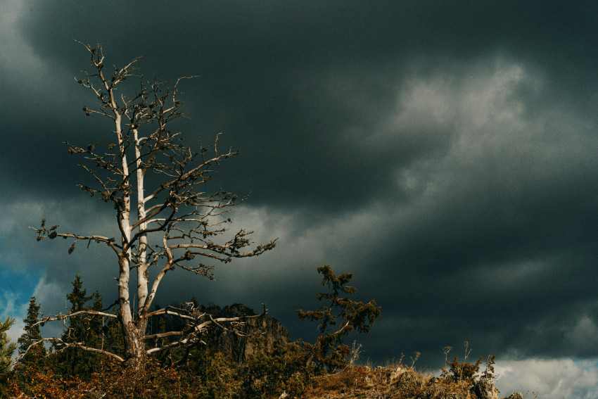Slecht weer fotografie: onverwachte kansen