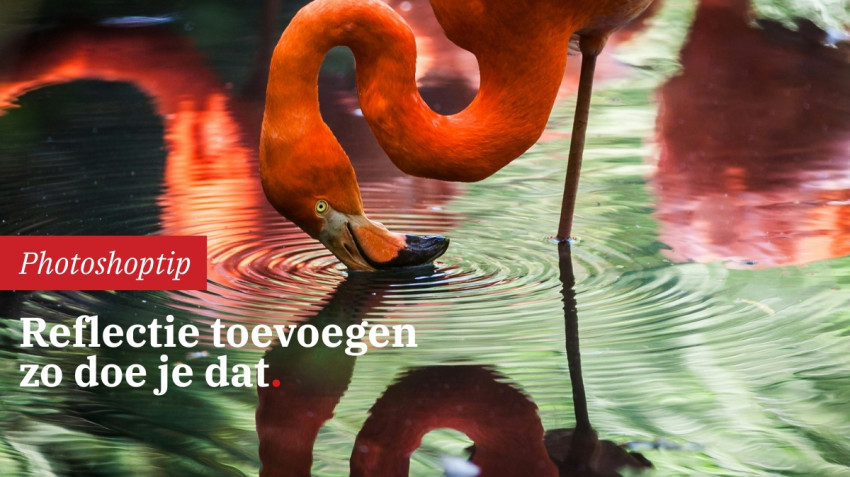 Reflectie toevoegen in Photoshop: zo doe je dat