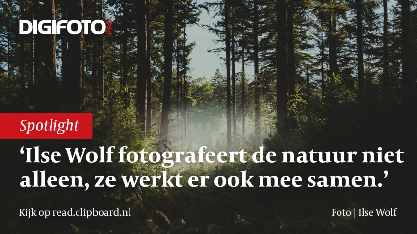 In de spotlight Ilse Wolf 