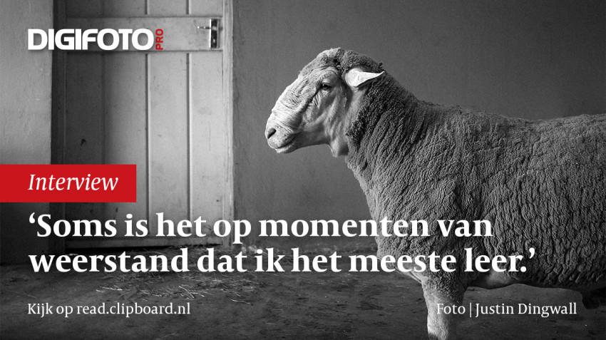 Fotoproject Incurious van Justin Dingwall