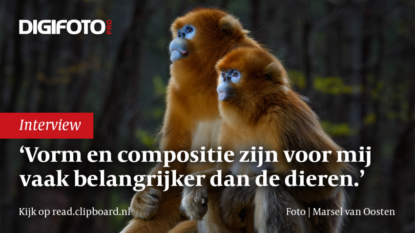 Van reclameman tot natuurfotograaf in Afrika