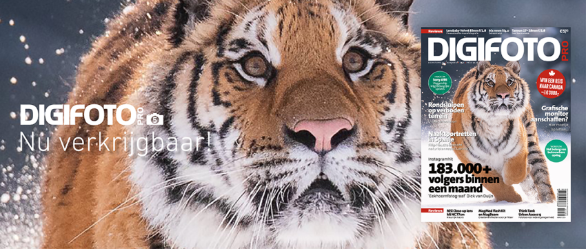 Nu verkrijgbaar: DIGIFOTO Pro 5.2019