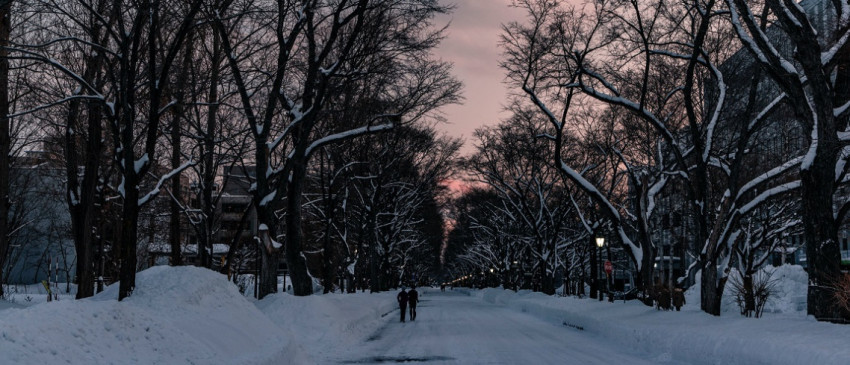 Lezersgallery: 5 indrukwekkende ijs- en sneeuwfoto's 