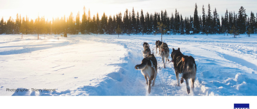 ZEISS 'Winter Weeks' cashback