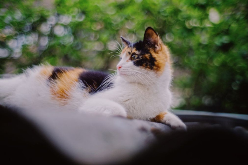 Review: MCOplus 35mm f/1.2, analoge feel 