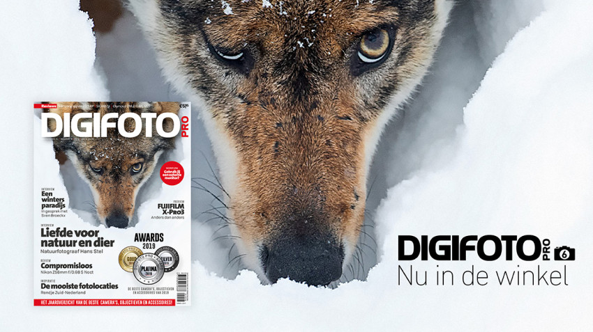 Nu verkrijgbaar: DIGIFOTO Pro 6.2019