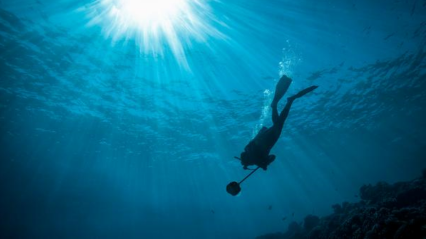 Boxfish 360 – 360-gradencamera met MFT sensor voor onder water