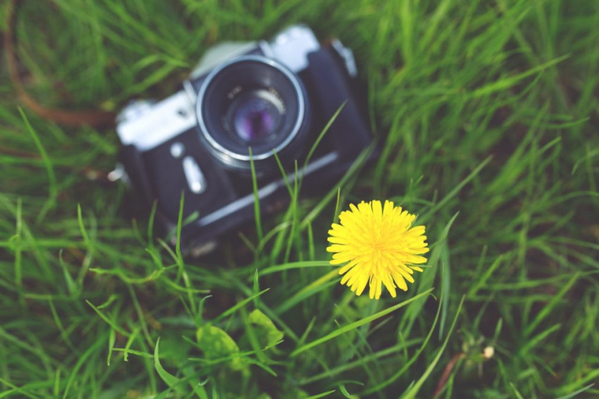 Hoe word je een 'groene' fotograaf?
