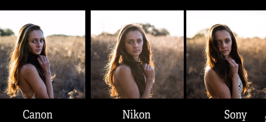 High-end strijd: Nikon vs. Canon vs. Sony