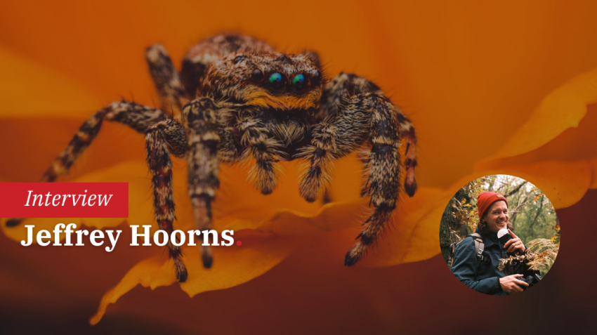 In gesprek met Jeffrey Hoorns | Macrofotografie | Wildlife