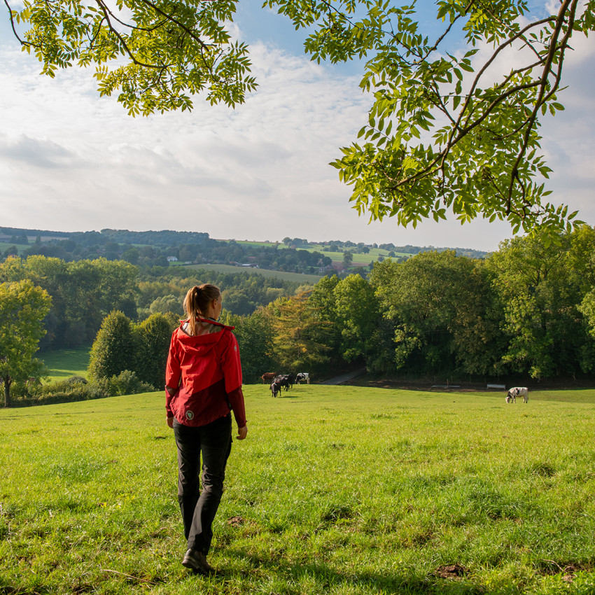 De ultieme fotogids voor de Dutch Mountain Trail