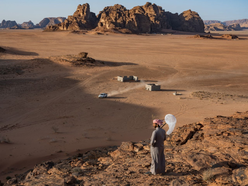 Lucas Foglia over de vlindermigratie|Constant Bloom