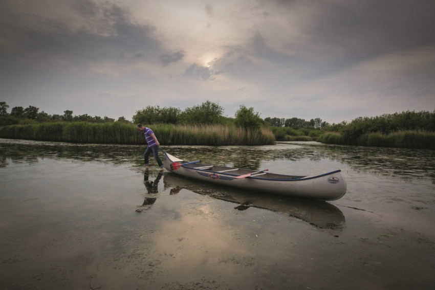 Met Sigma naar de Biesbosch