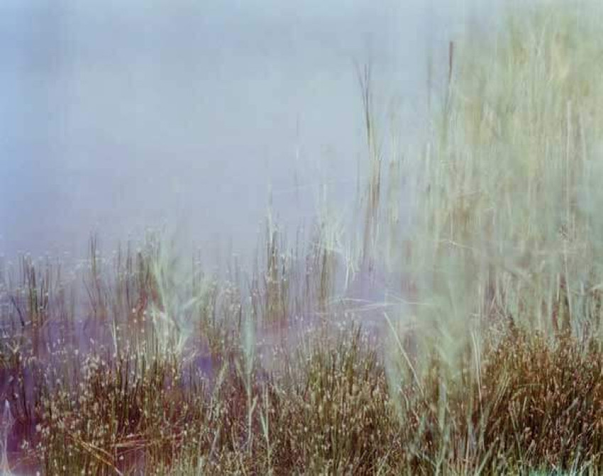 Felwa tentoonstelling in CODA Museum Apeldoorn