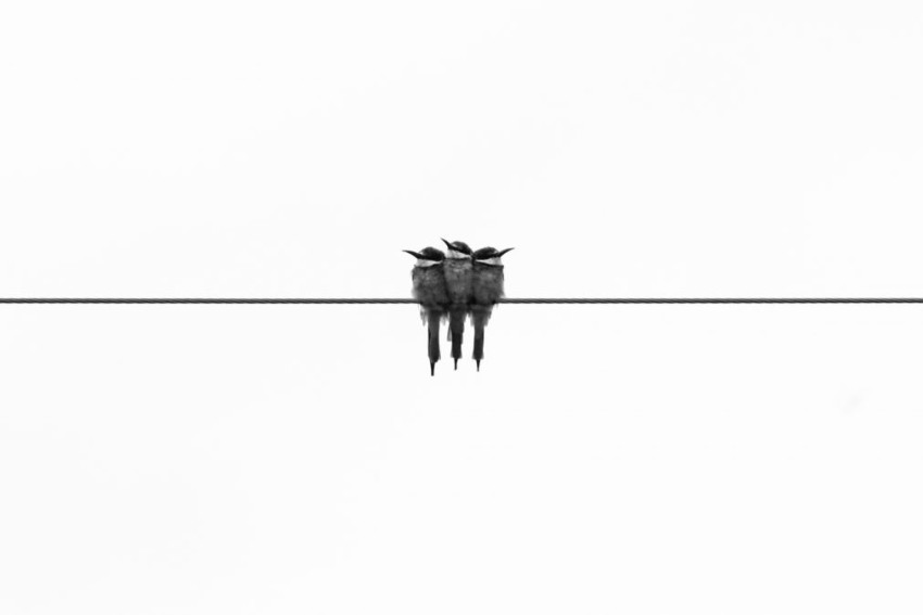Negatieve ruimte, positieve tool