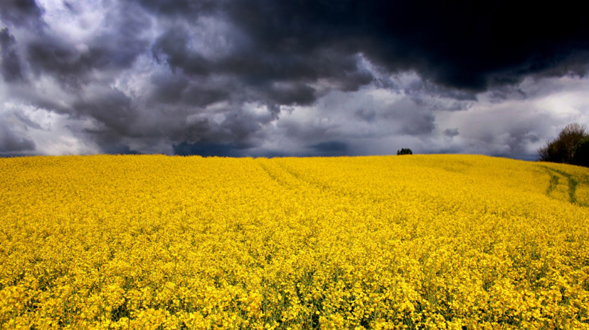 Code geel = binnenblijven.  Behalve voor noodweer fotografen! 