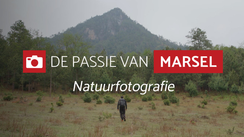Alles over natuurfotografie