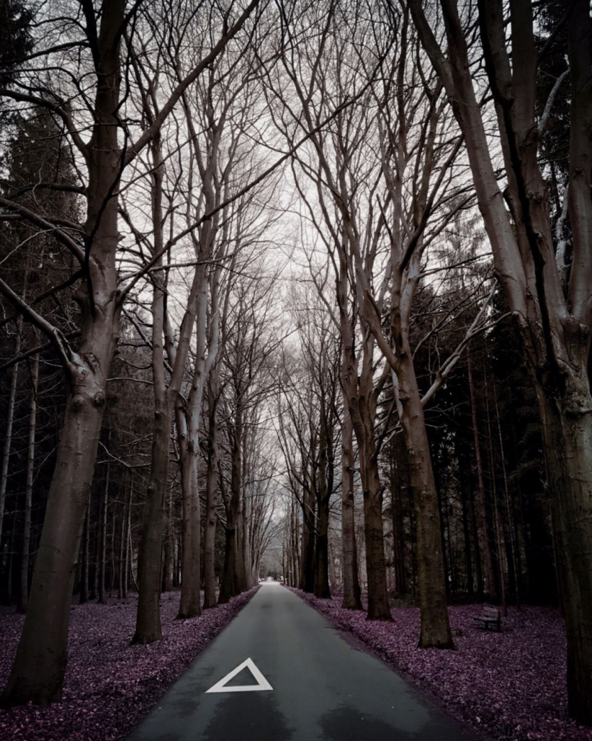 In de Spotlight: Jacco Richters