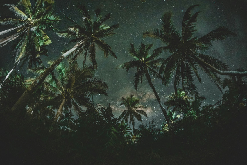 Astrofotografie: Tips voor sterren en landschap
